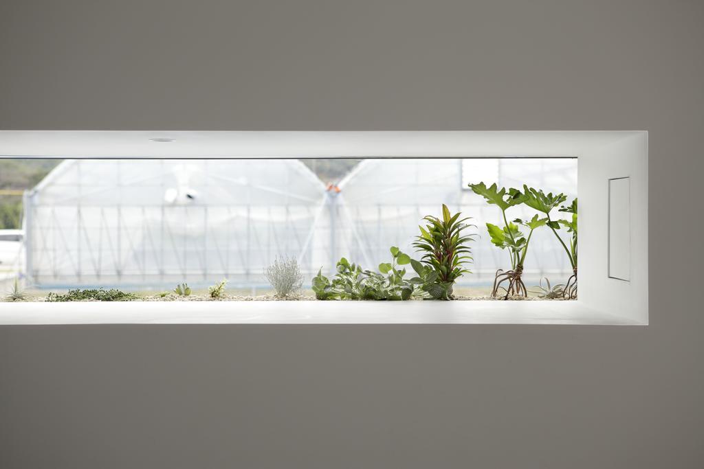 Aqua Ignis Ryokan Komono Buitenkant foto